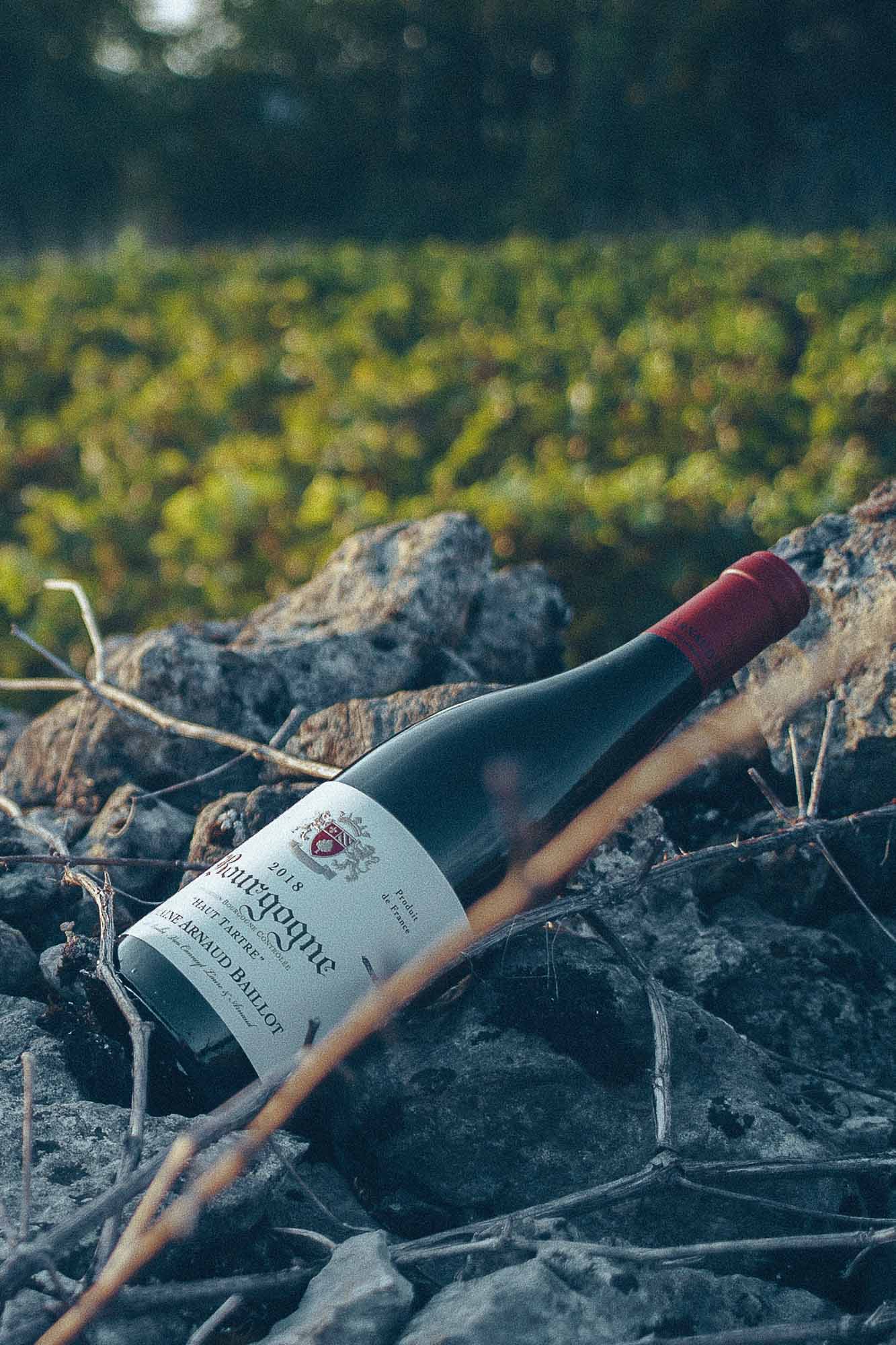 Red Wine