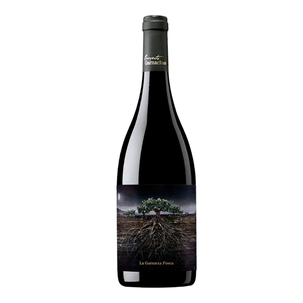 Proyecto Garnacha Fosca del Priorat 2023